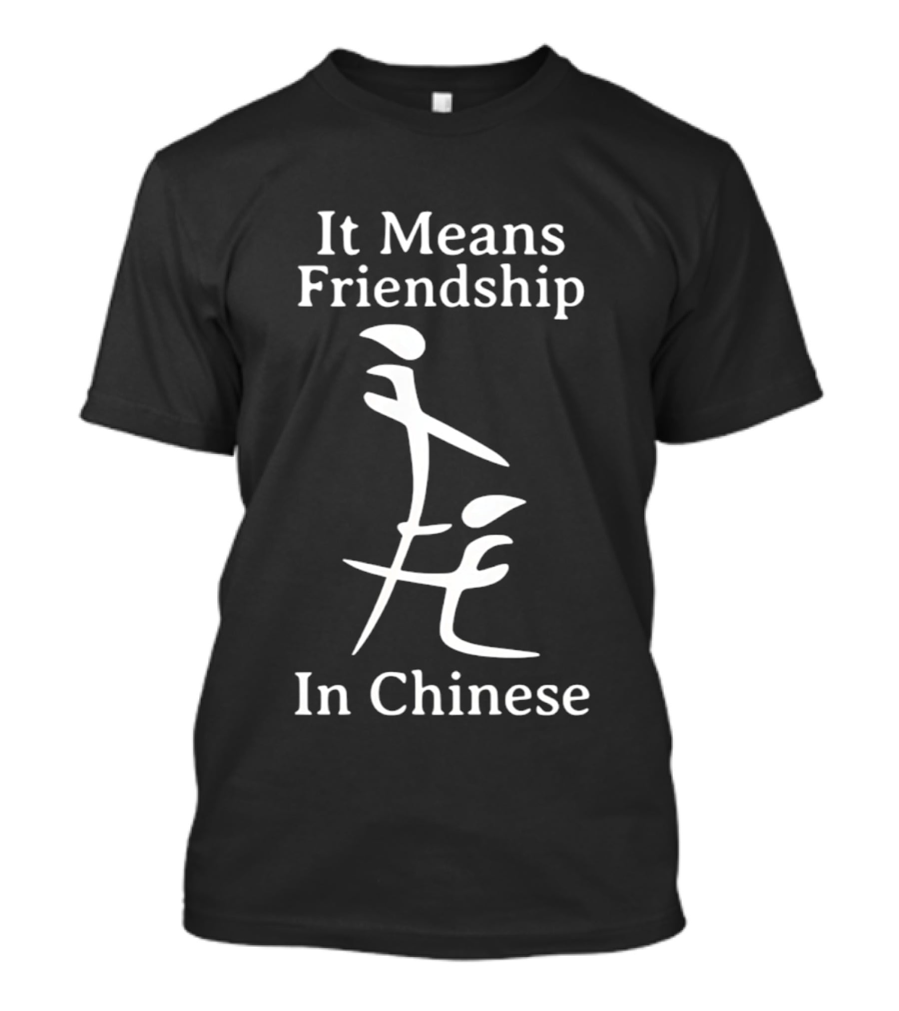 It Means Friendship In Chinese Inappropriate T-Shirt