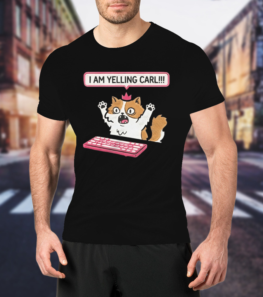 Cat Princess Donut I Am Yelling Carl Keyboard T-Shirt