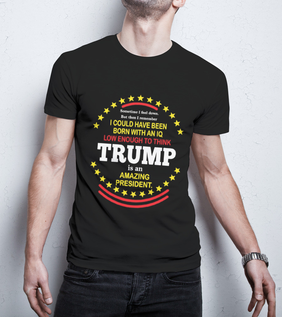 Sometime I Feel Down But Then I Remember I Could Have Been Born With An IQ Low Enough To Think Trump Is An Amazing President T-Shirt