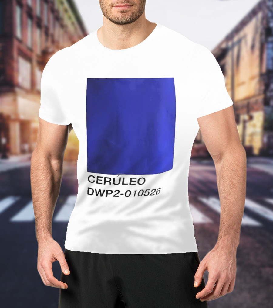Ceruleo DWP2 010526 T-Shirt