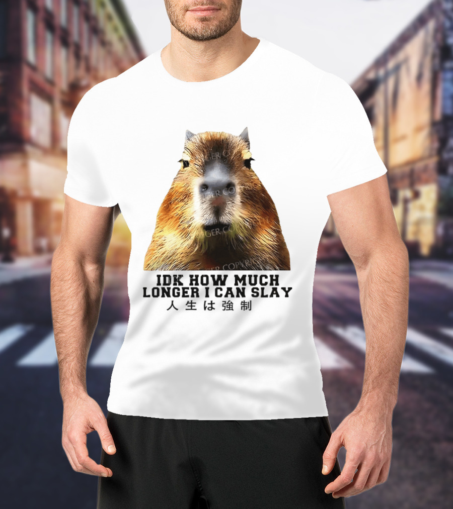 Capybara Idk How Much Longer I Can Slay T-Shirt
