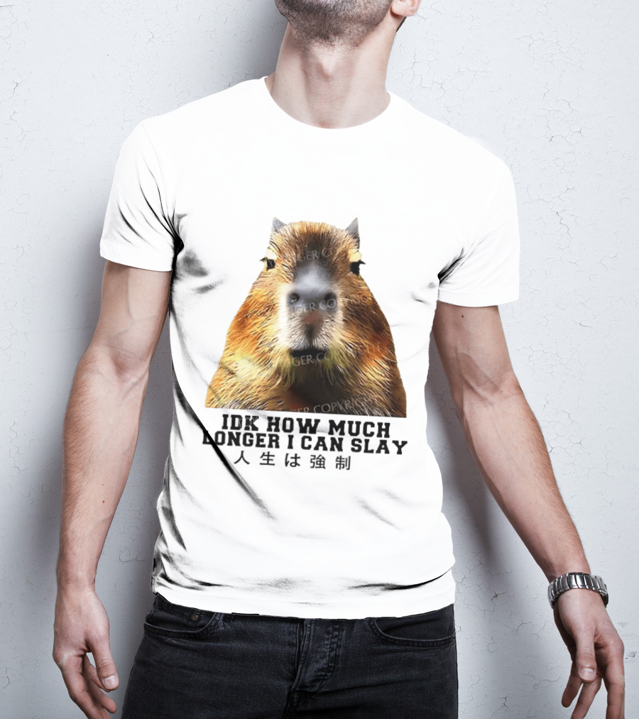 Capybara Idk How Much Longer I Can Slay T-Shirt