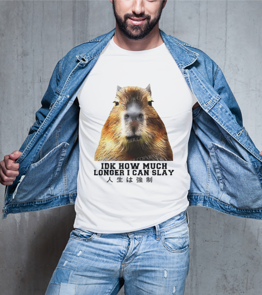 Capybara Idk How Much Longer I Can Slay T-Shirt