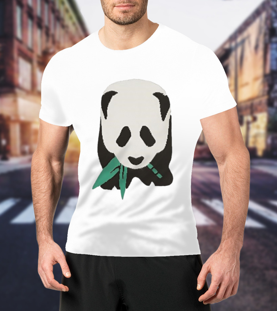 Taylor Wearing Free People Panda T-Shirt