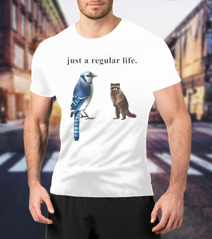 Just A Regular Life Raccoon And Bird Regular Show T-Shirt