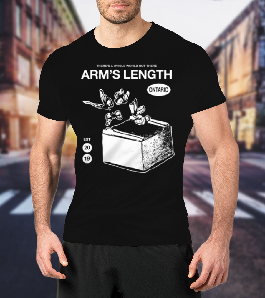 Arm's Length There's A Whole World Out There Butterfly Cube Art Set 1 T-Shirt