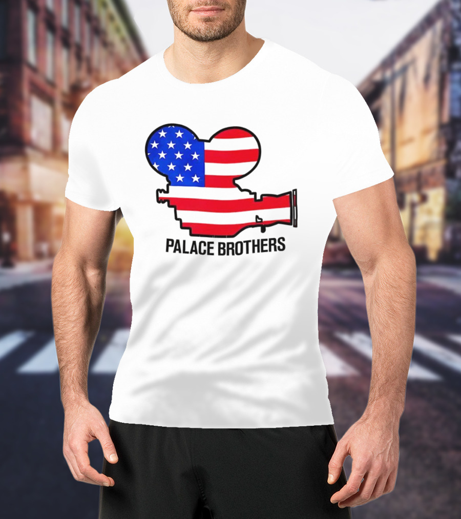 Palace Brothers American Flag Camera T-Shirt