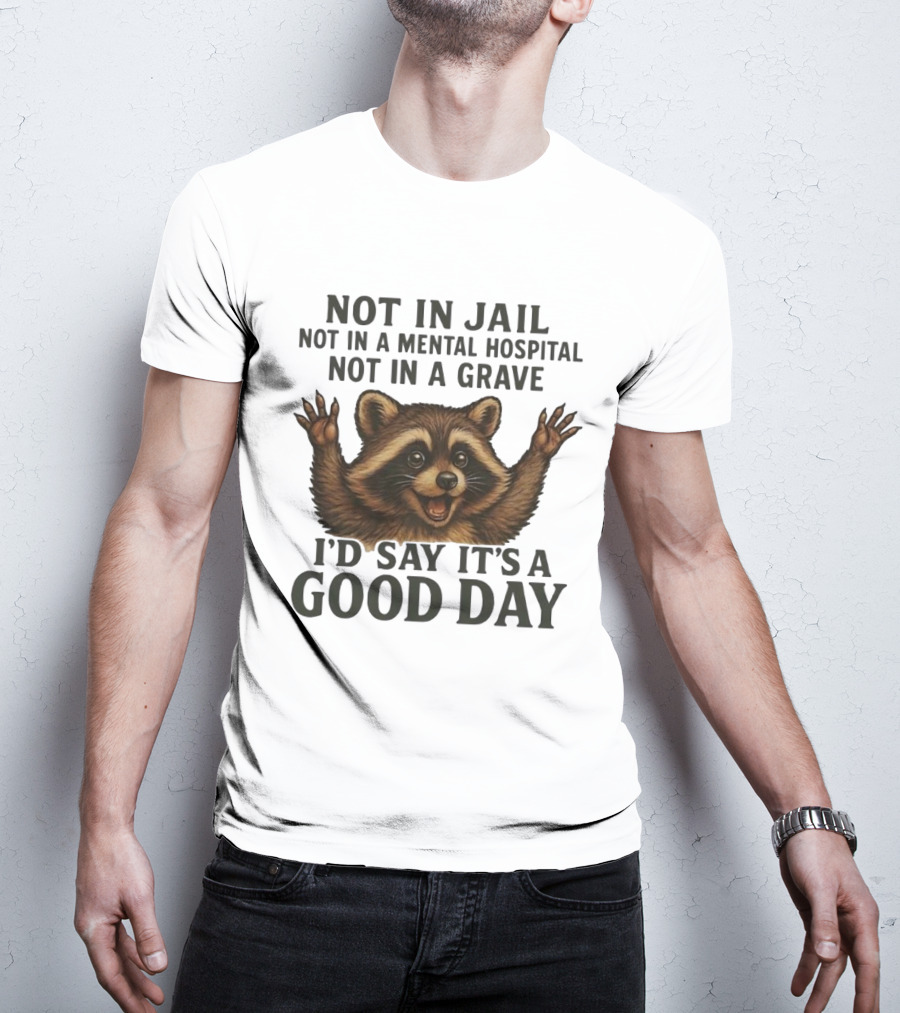Raccoon Not In Jail Not In A Mental Hospital Not In A Grave I’d Say It’s A Good Day T-Shirt