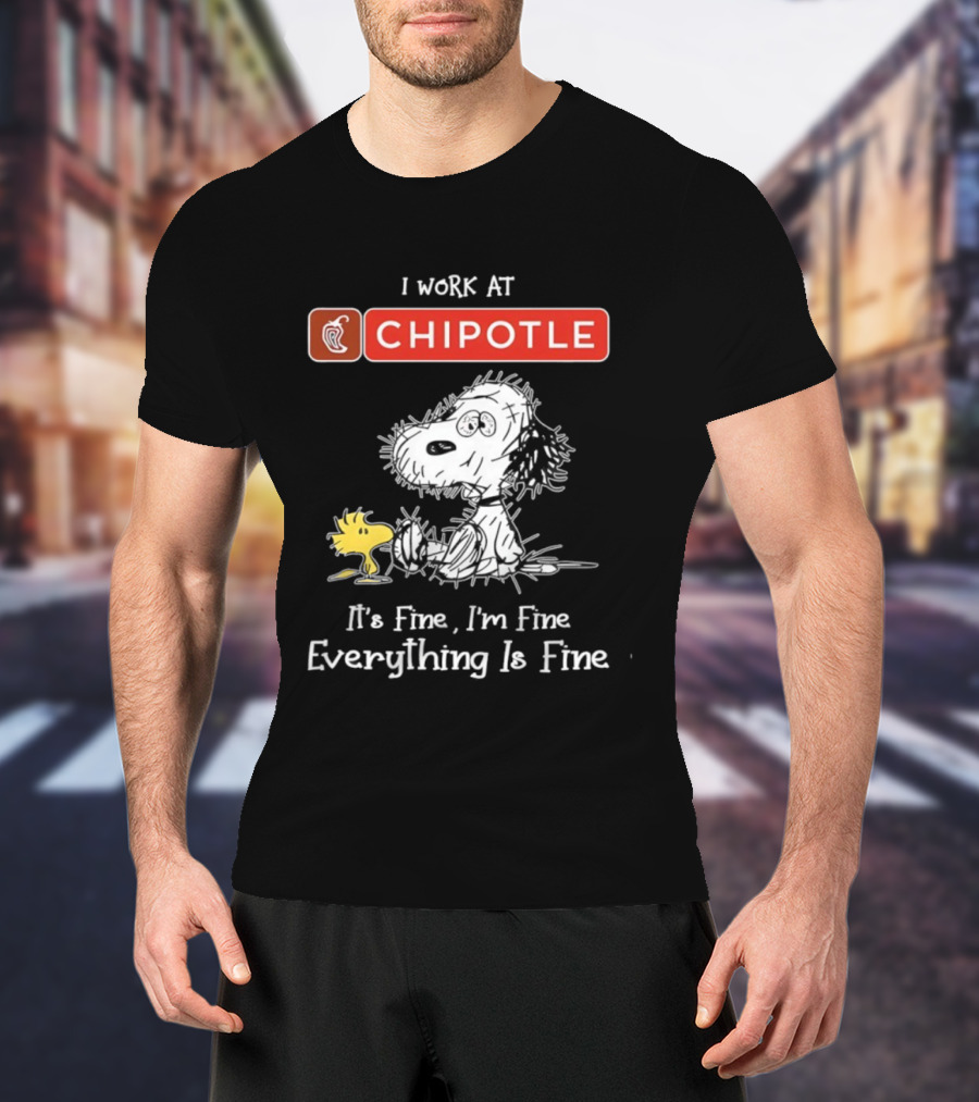 Snoopy Woodstock Chipotle Everything Is Fine T-Shirt