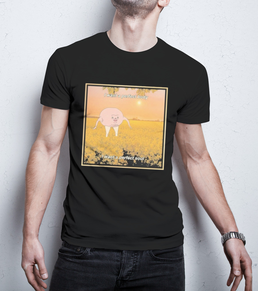 I Want A Perfect Body I Want A Perfect Soul Sunset Parody T-Shirt