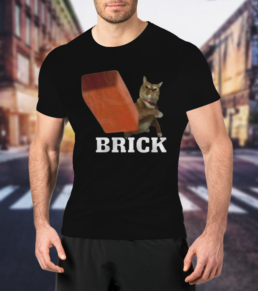 Funny Cat Brick Throw Meme T-Shirt