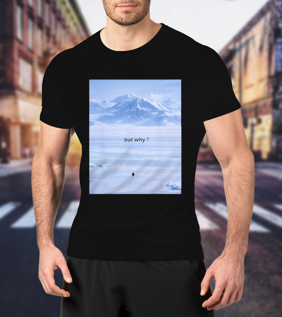 Penguin But Why Meme Snowy Mountains Motivational Scene T-Shirt