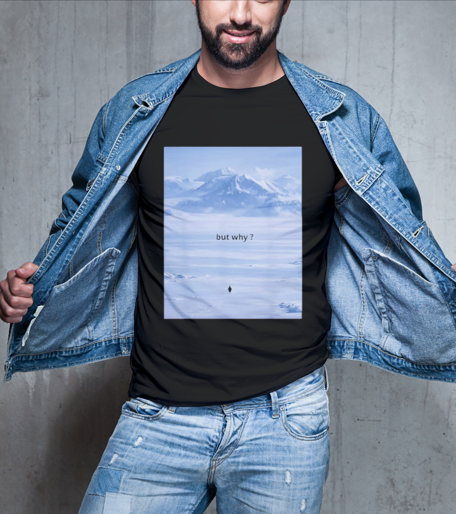 Penguin But Why Meme Snowy Mountains Motivational Scene T-Shirt