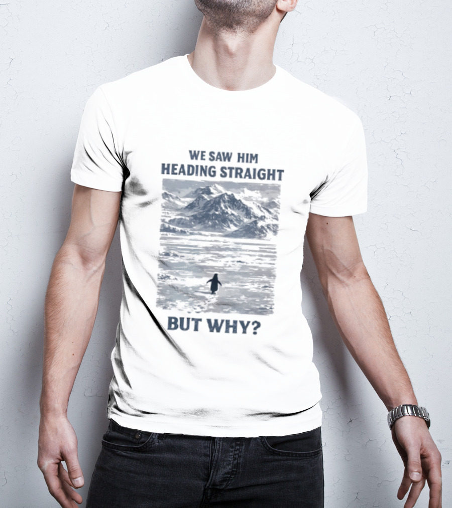 We Saw Him Heading Straight But Why Penguin Mountain Meme T-Shirt