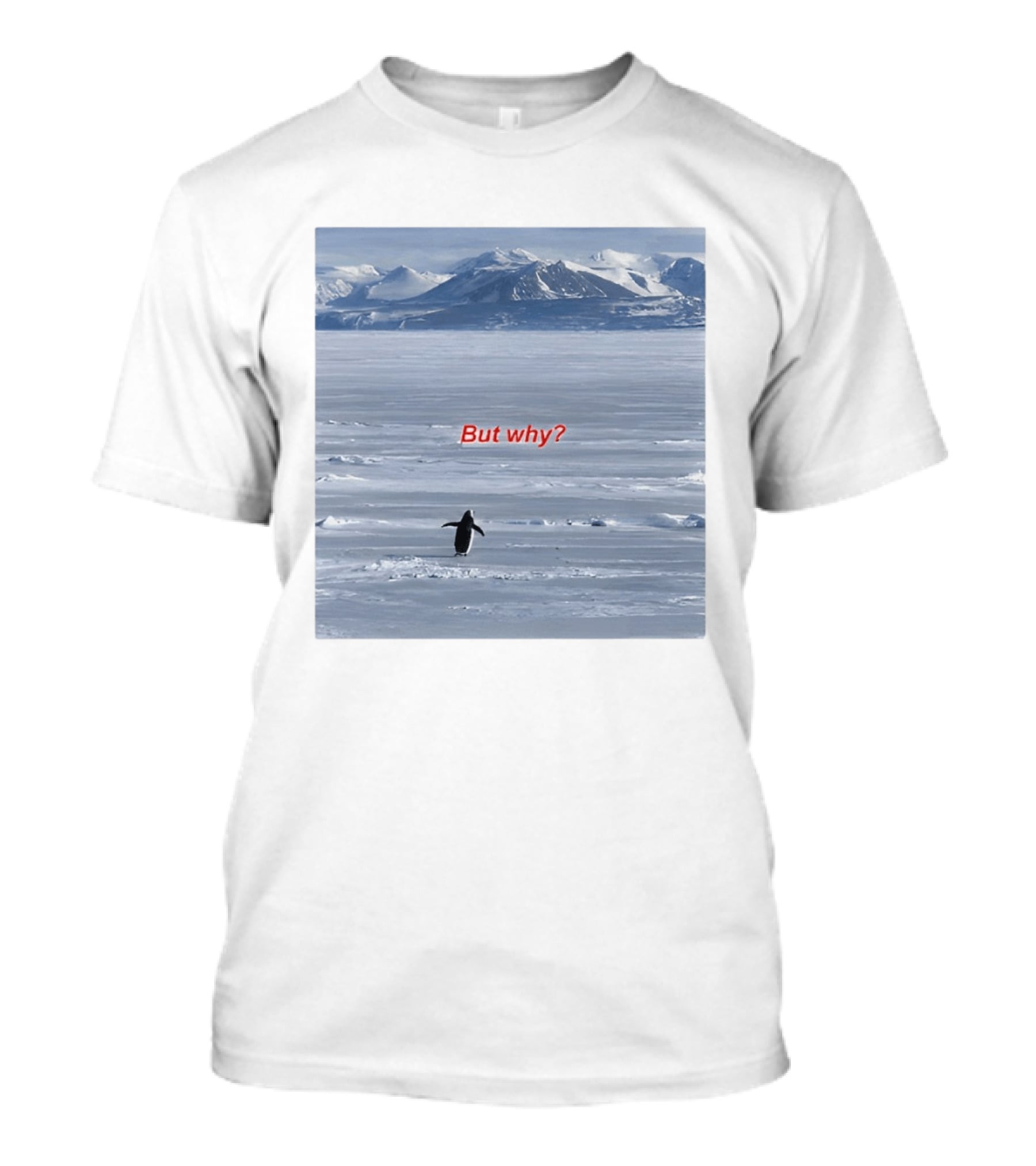 But Why Penguin Nihilist Scenic Antarctic Mountains T-Shirt