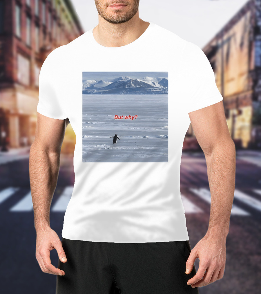 But Why Penguin Nihilist Scenic Antarctic Mountains T-Shirt