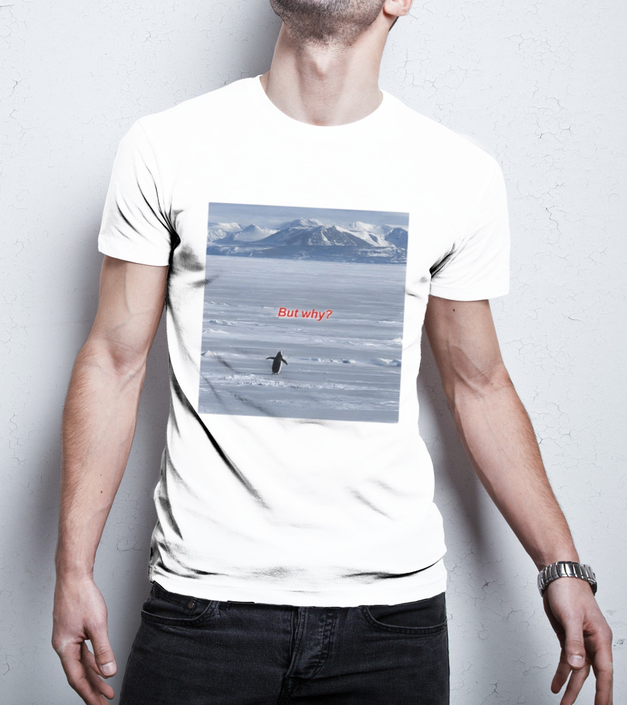 But Why Penguin Nihilist Scenic Antarctic Mountains T-Shirt