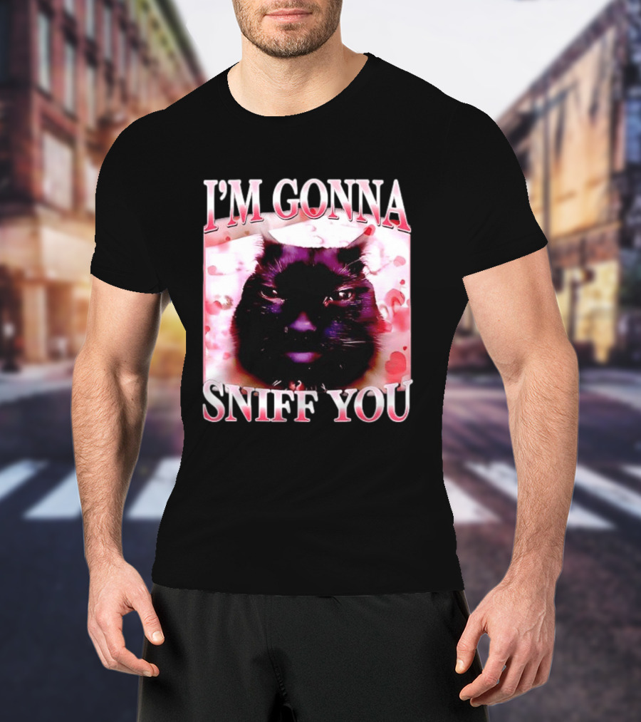 I'm Gonna Sniff You Cat Meme Valentine Aesthetic T-Shirt