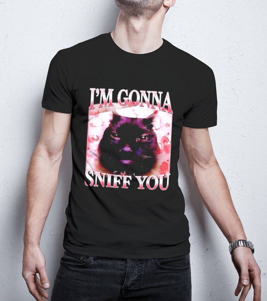 I'm Gonna Sniff You Cat Meme Valentine Aesthetic T-Shirt