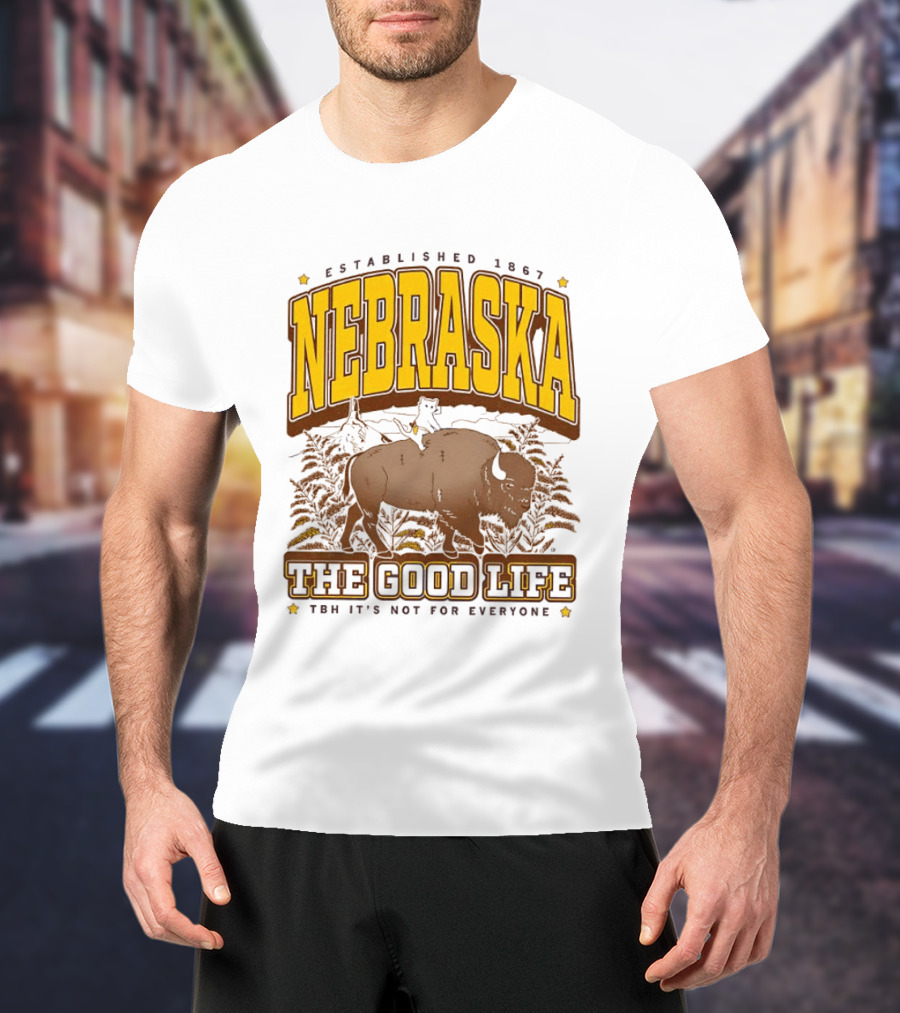 Nebraska The Good Life Established 1867 TBH It's Not For Everyone Buffalo T-Shirt