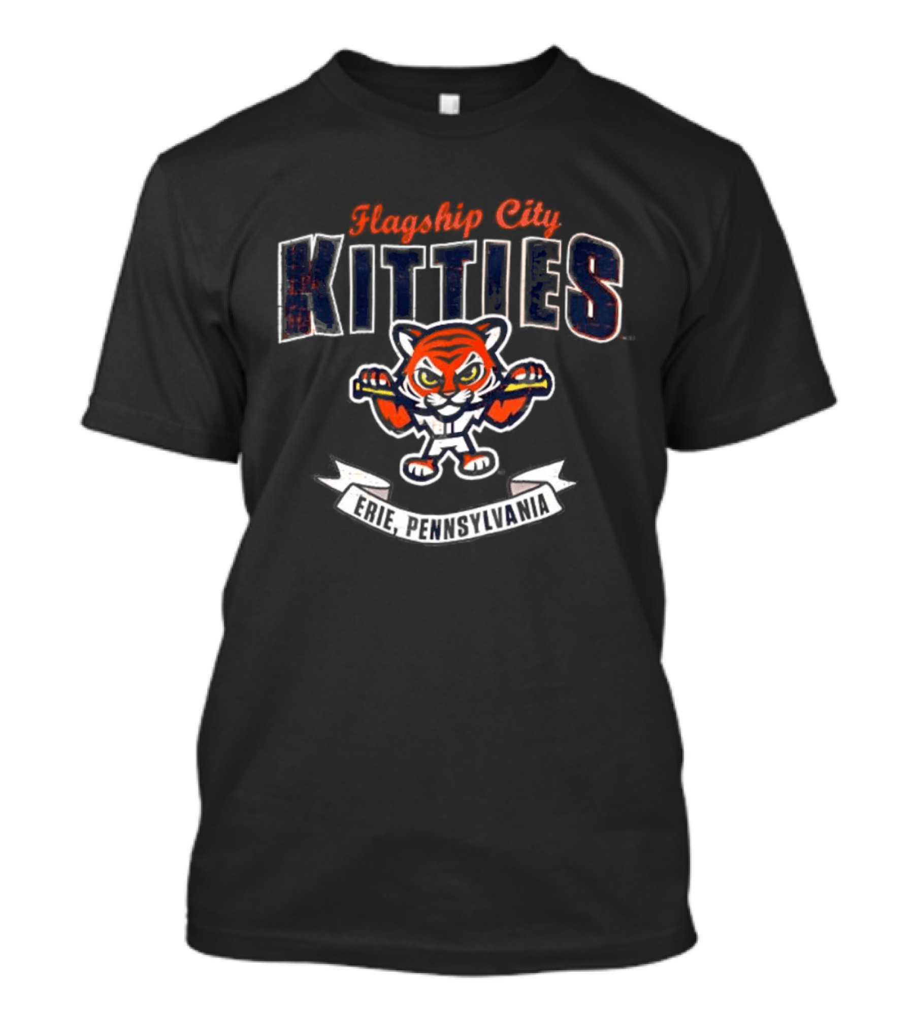 Flagship City Kitties Erie Pennsylvania Tiger Boxing T-Shirt