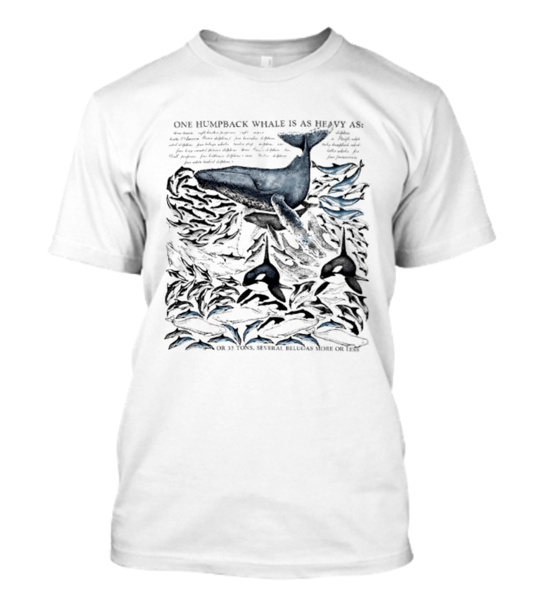 One Humpback Whale Equals 33 Tons Several Belugas Comparison T-Shirt