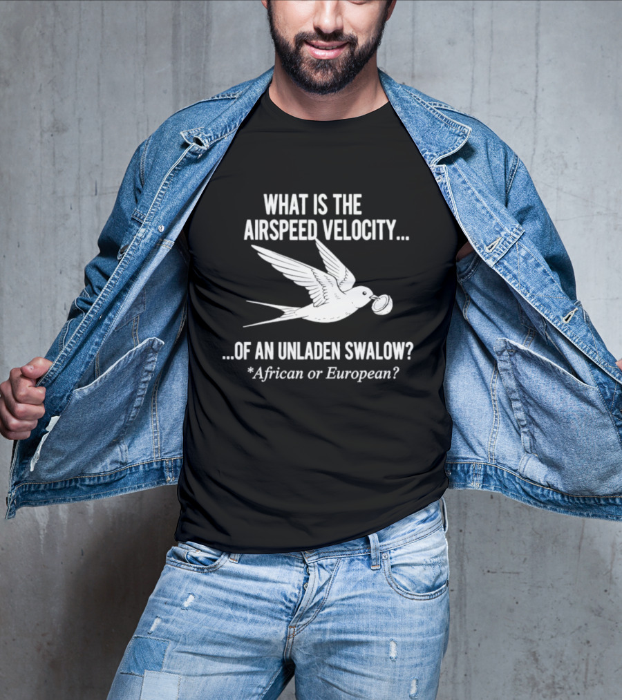 What Is The Airspeed Velocity Of An Unladen Swallow African Or European T-Shirt