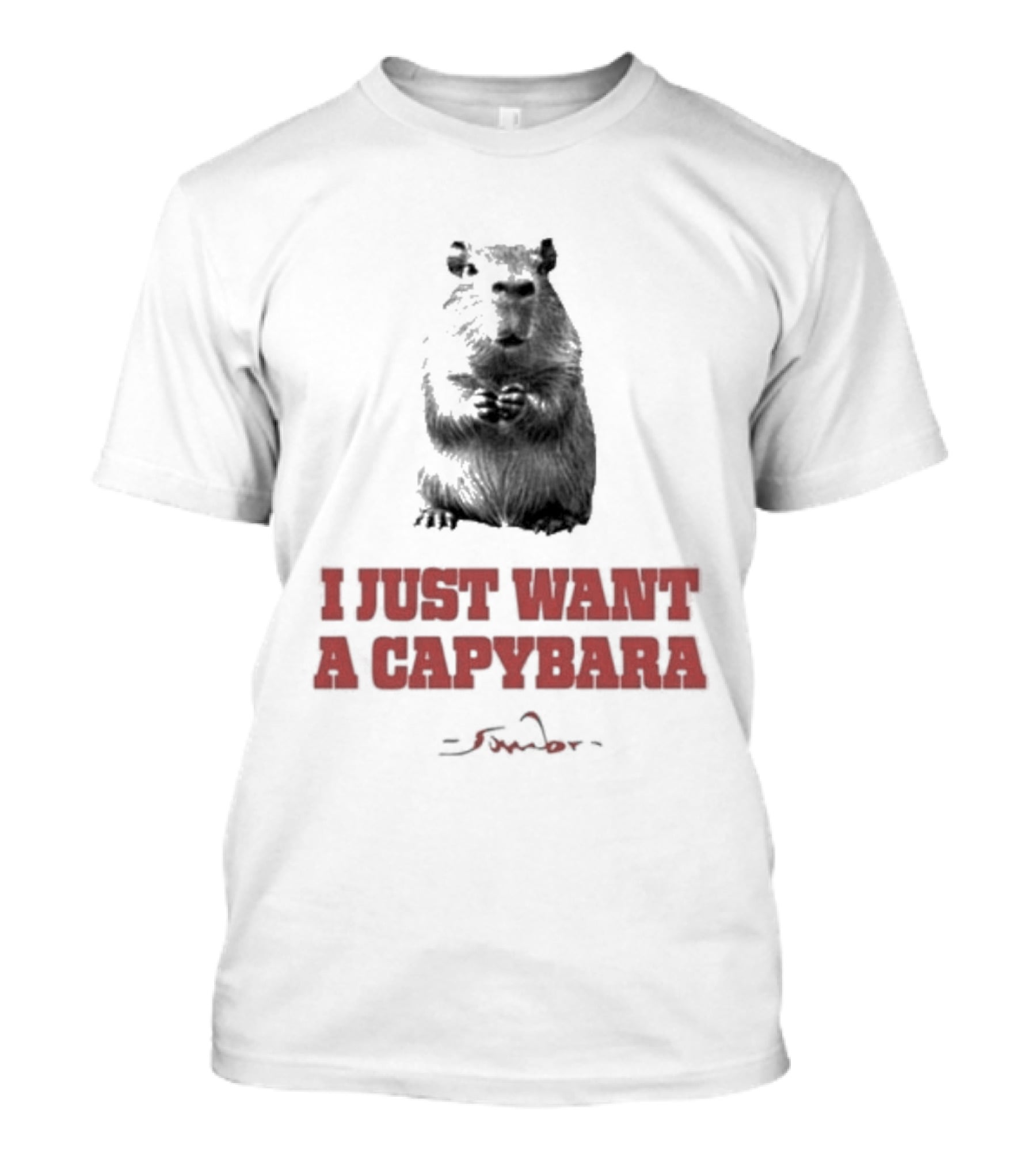 I Just Want A Capybara Dark T-Shirt
