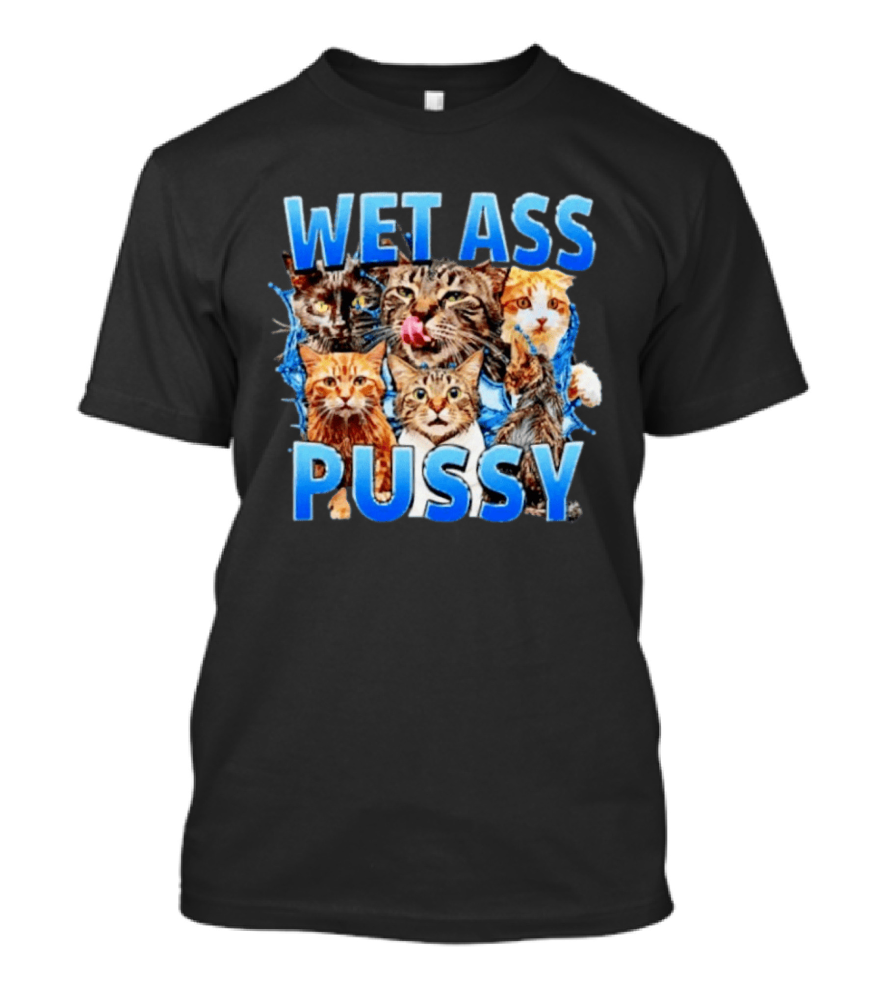 Wet Ass Pussy Cat Meme Kittens T-Shirt