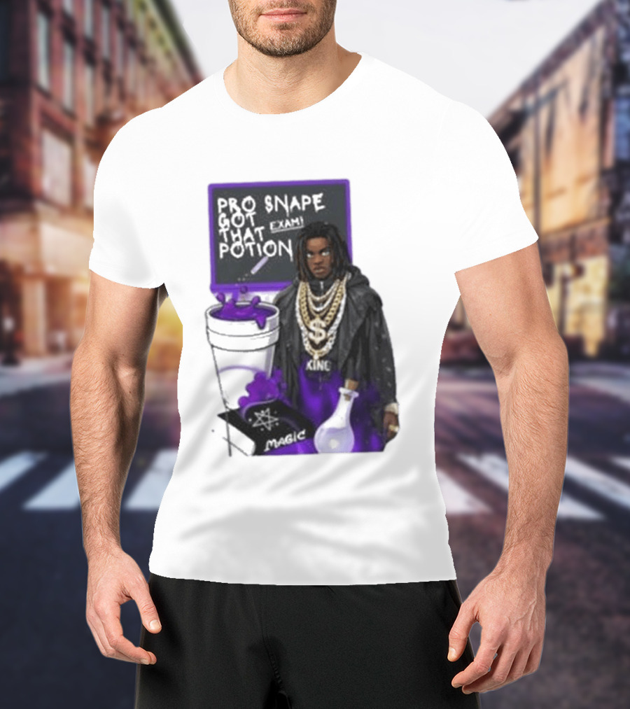 Pro Snape Got That Potion Magic Hip Hop Exam King T-Shirt