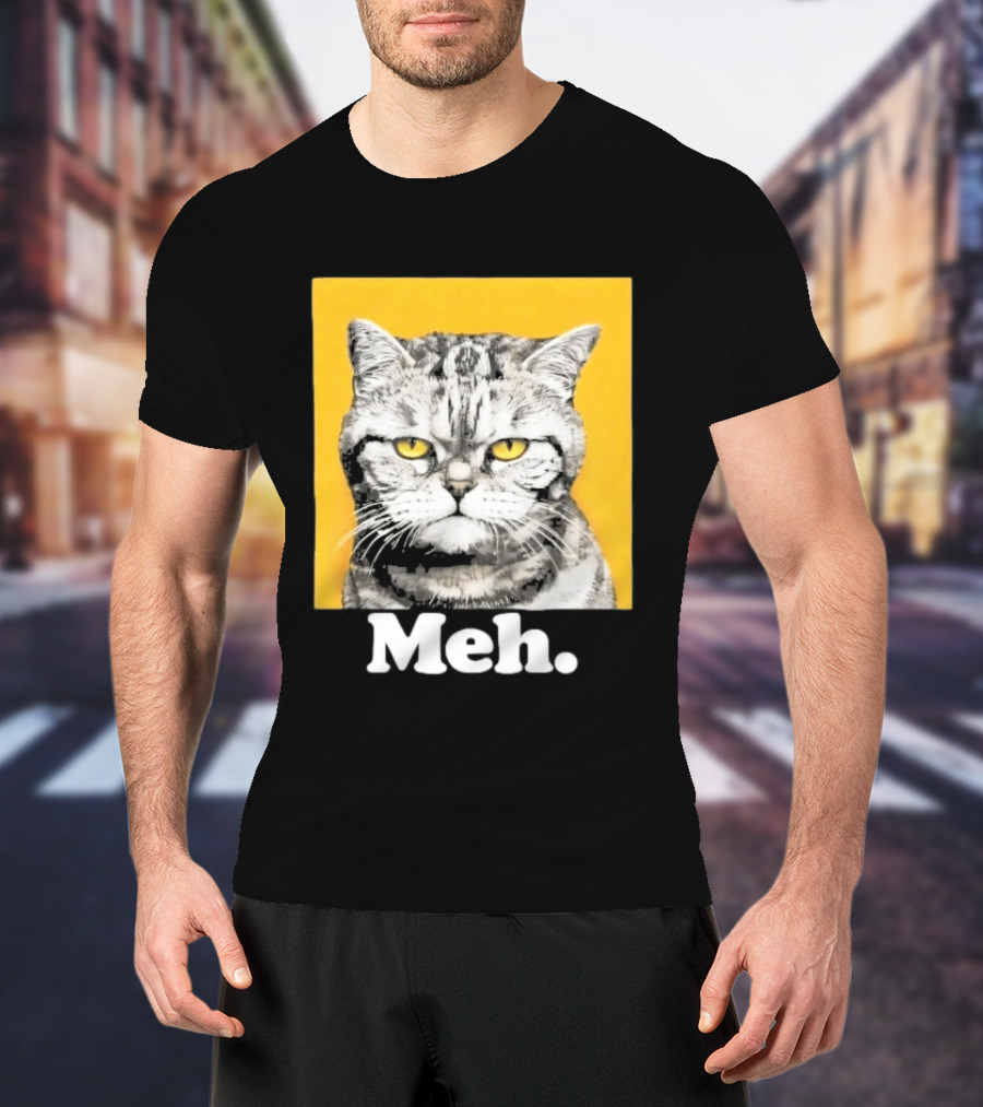 90 Day The Single Life Meh Cat T-Shirt