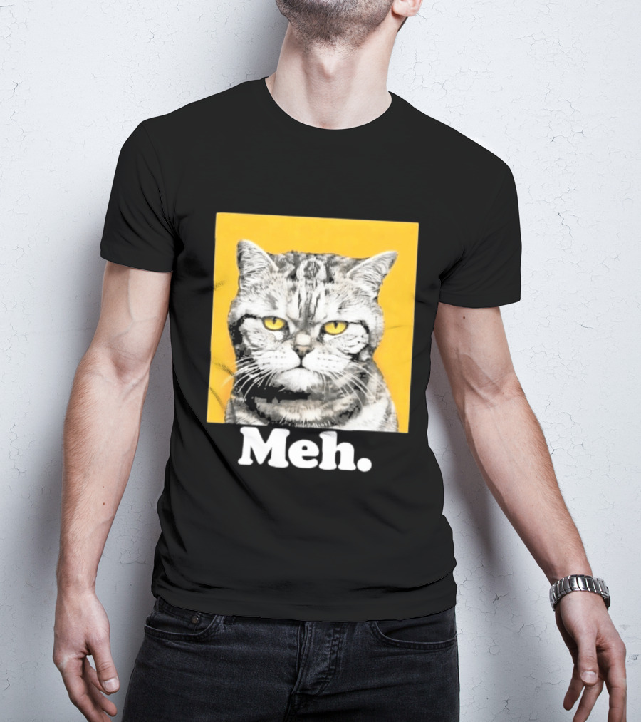 90 Day The Single Life Meh Cat T-Shirt