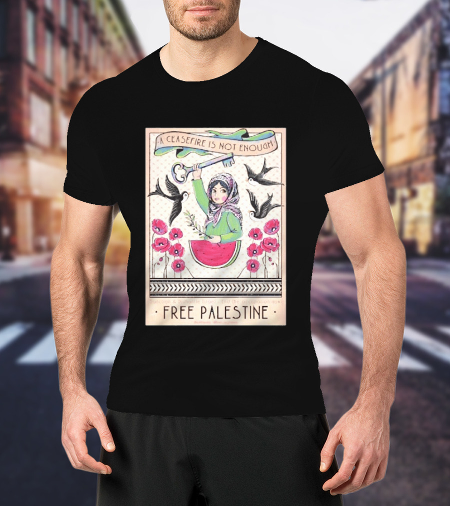 A Ceasefire Is Not Enough Free Palestine Sanction And Dismantle Israel End The Occupation Now T-Shirt