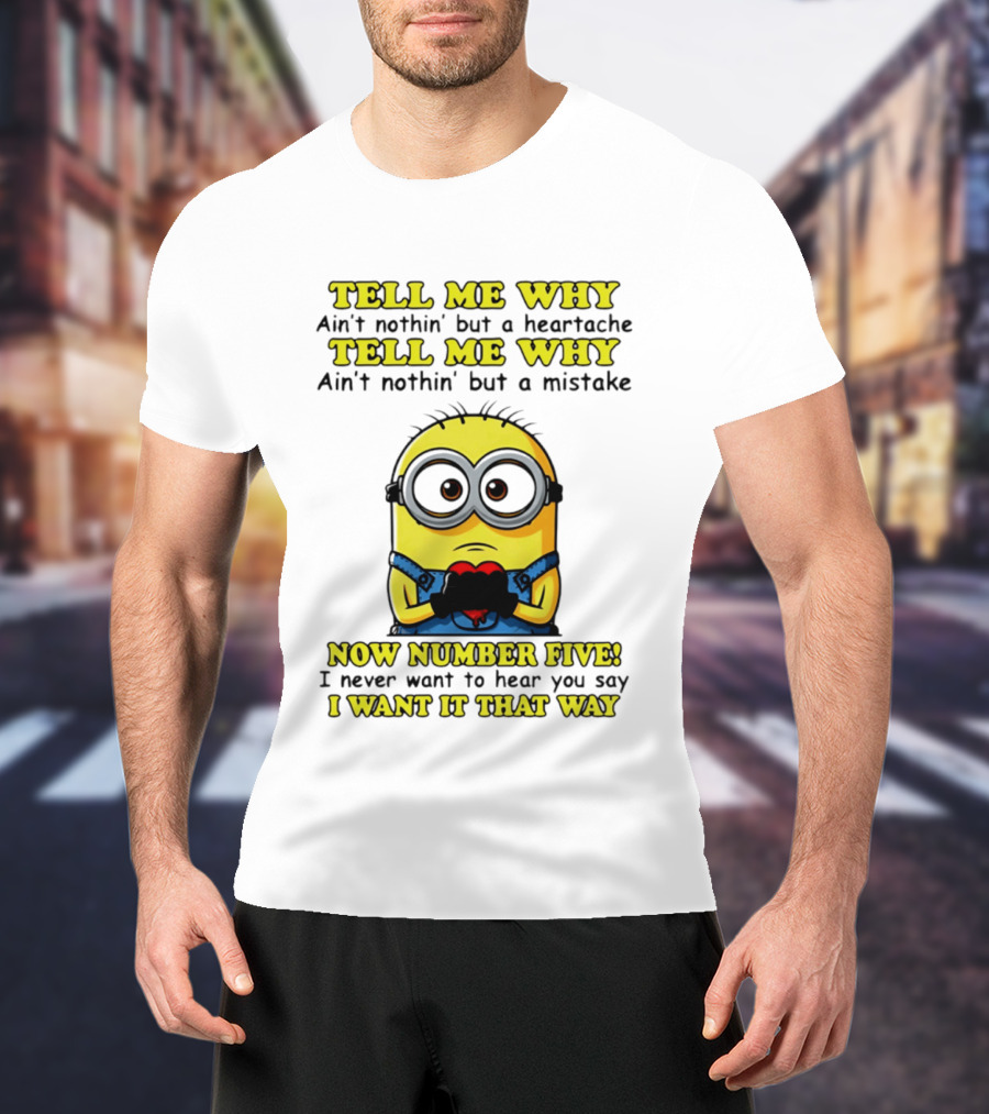 Tell Me Why Ain't Nothin' But A Heartache Mistake Minion I Want It That Way Number Five T-Shirt