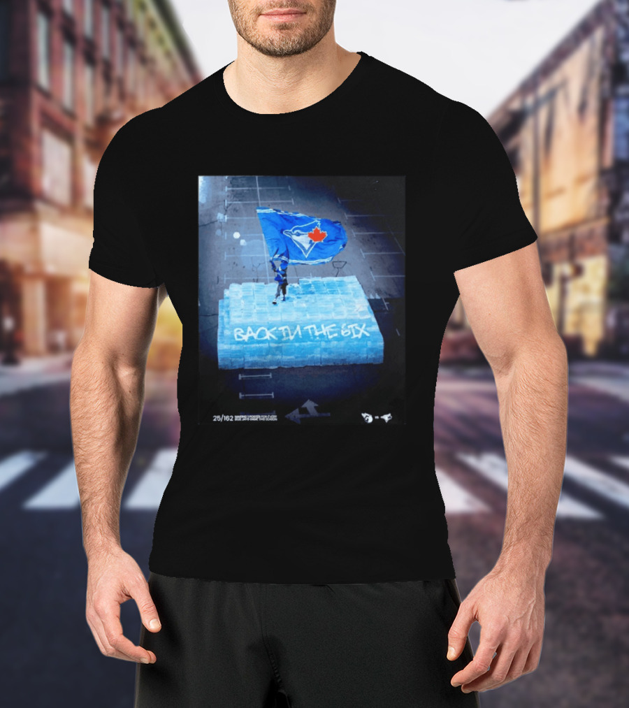 Toronto Blue Jays Back In The 6ix Ice Flag And Blocks T-Shirt