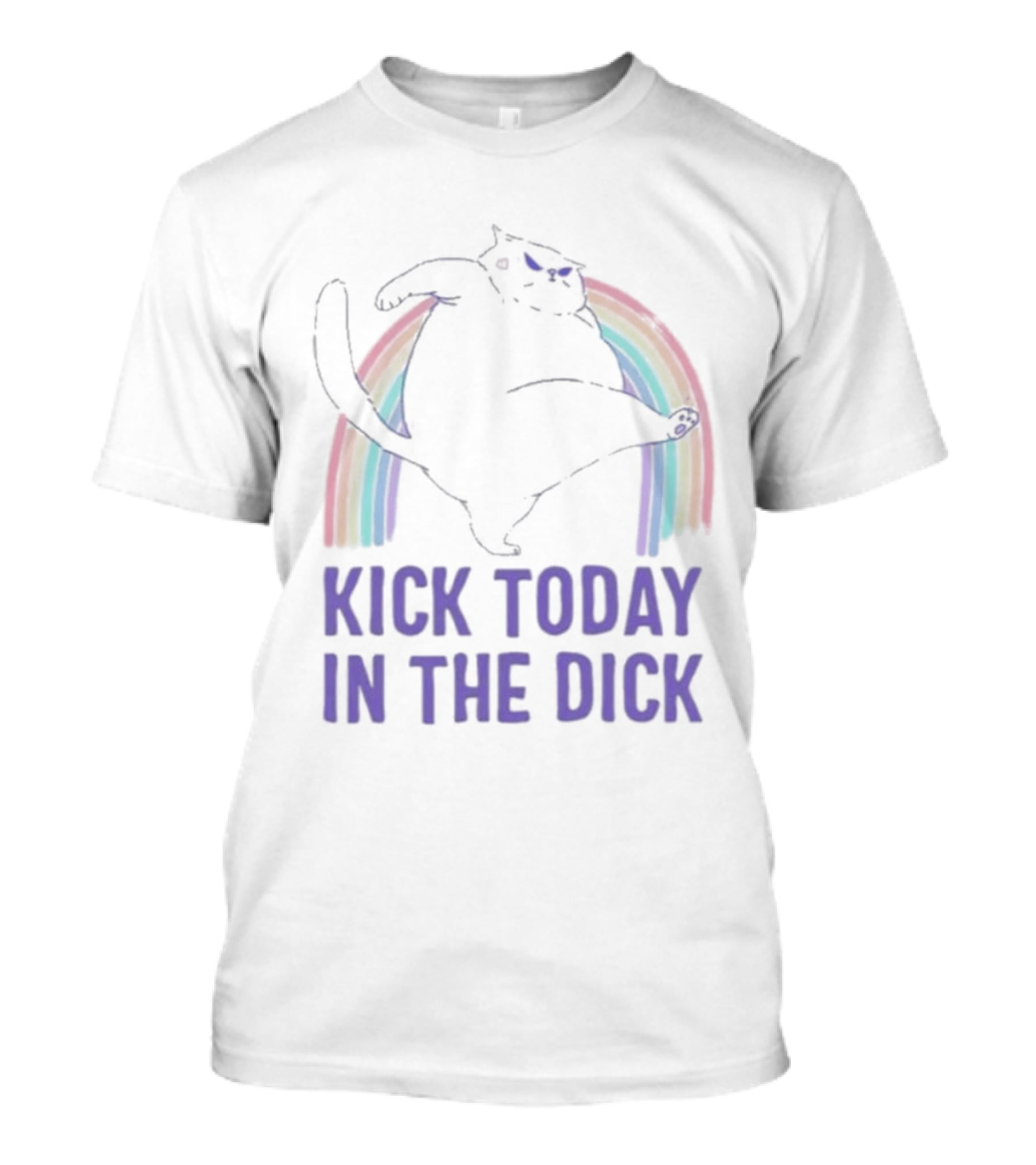 Kick Today In The Dick Rainbow Cat T-Shirt