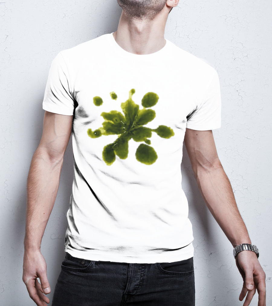 Weather Tomorrow May 4 2026 T-Shirt