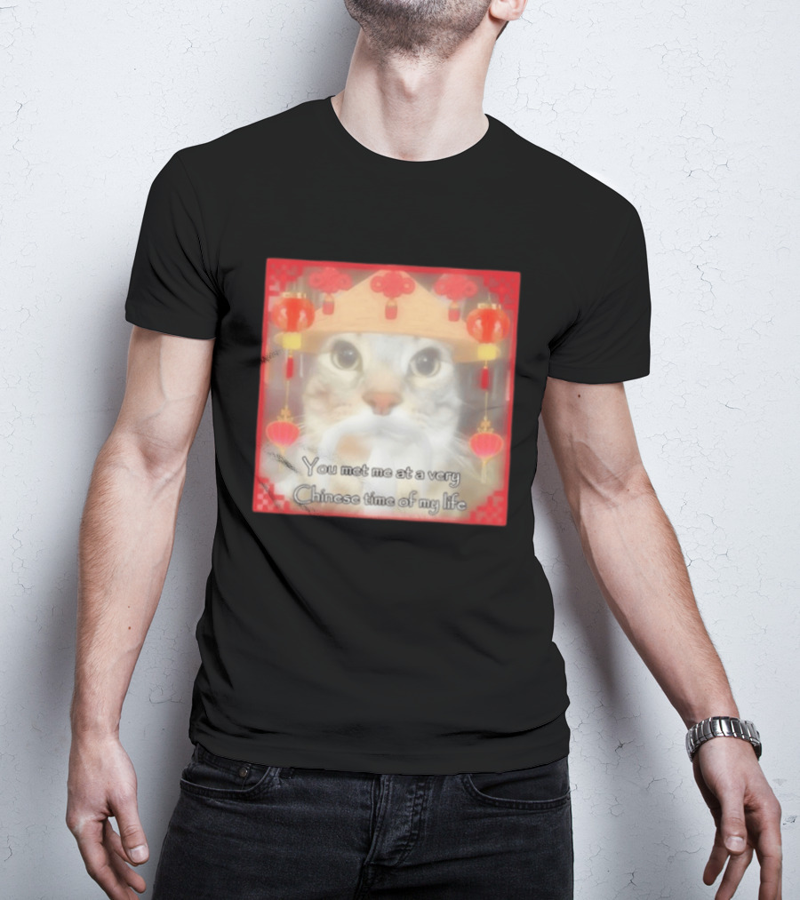 You Met Me At A Very Chinese Time Of My Life Cat Lanterns Hat T-Shirt