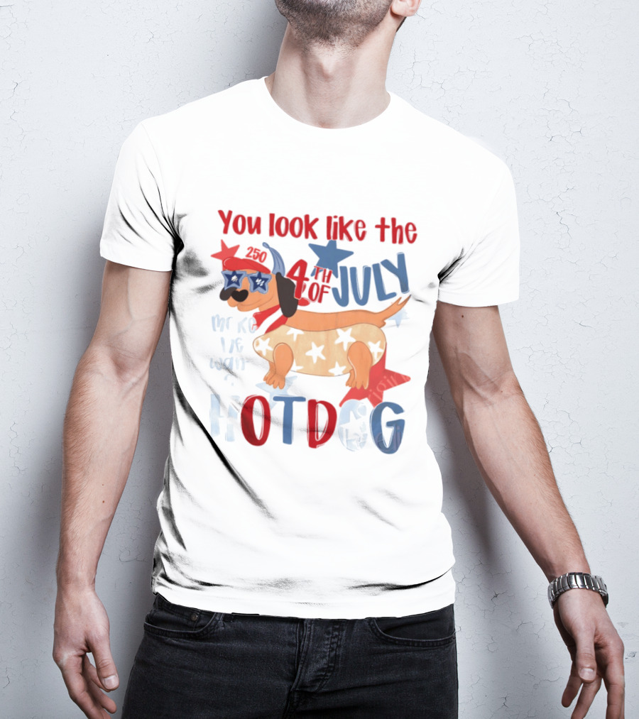 You Look Like The 4th Of July Make Me Want A Hotdog 2020 Dog Star Hat T-Shirt