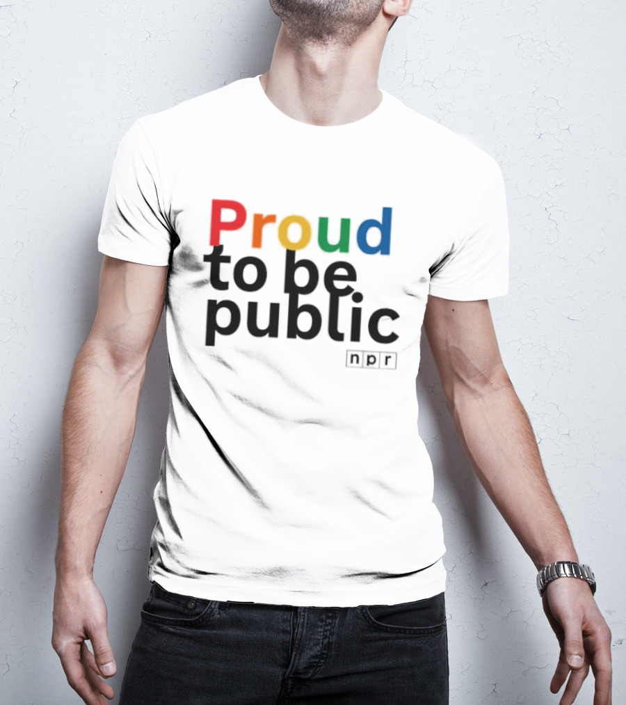 Proud To Be Public Colorful Pride T-Shirt