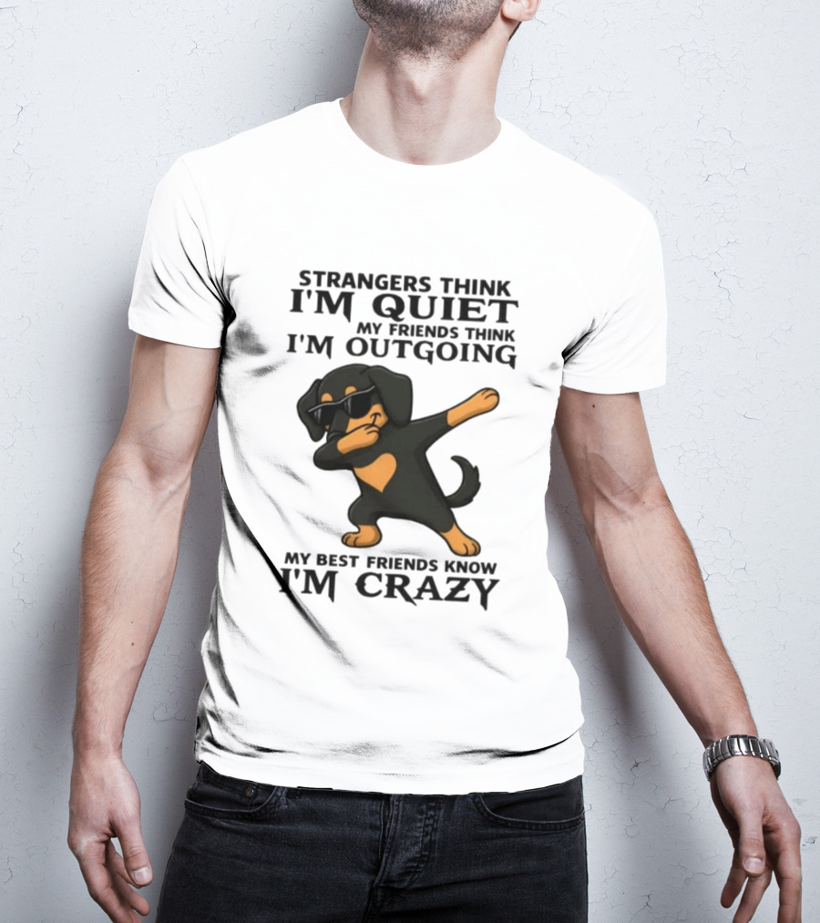 Strangers Think I'm Quiet Friends Think I'm Outgoing Best Friends Know I'm Crazy Dabbing Dachshund T-Shirt