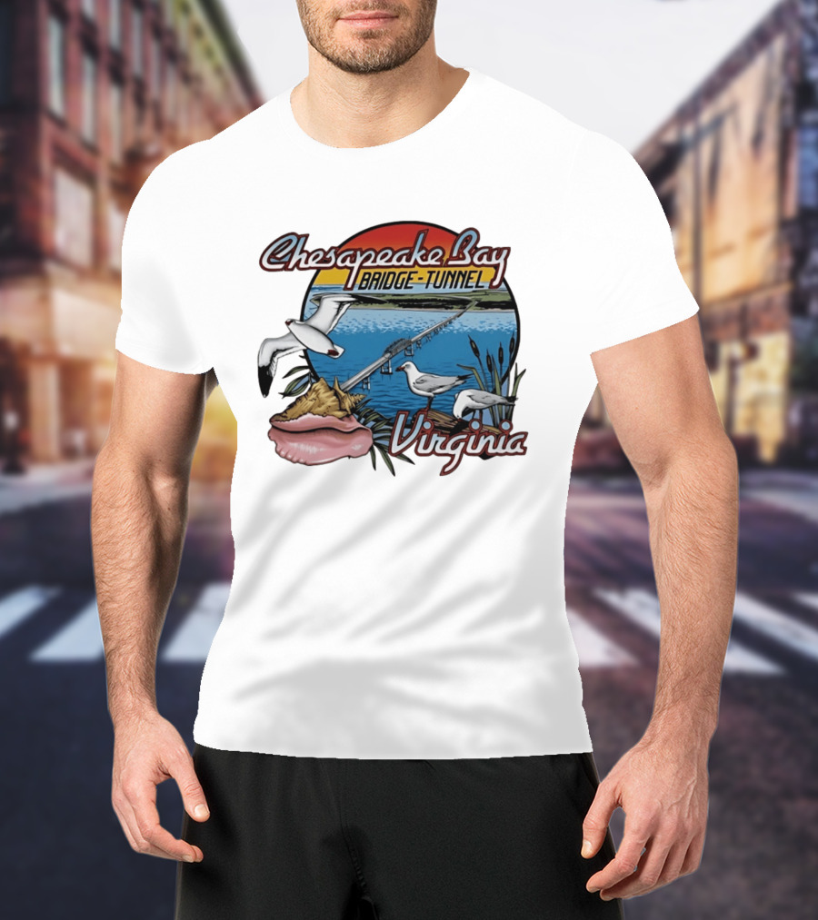 Chesapeake Bay Bridge Tunnel Virginia Seagulls Sunset Scene T-Shirt