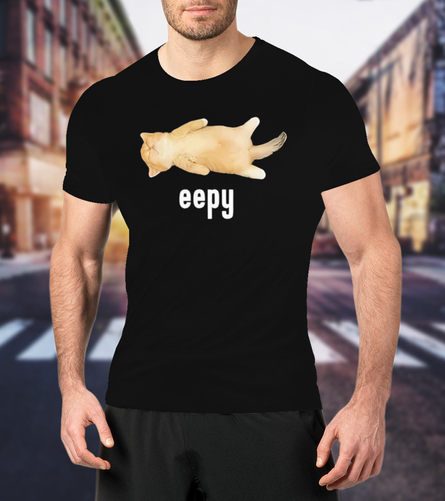 Eepy Sleeping Orange Kitten Cat Meme T-Shirt
