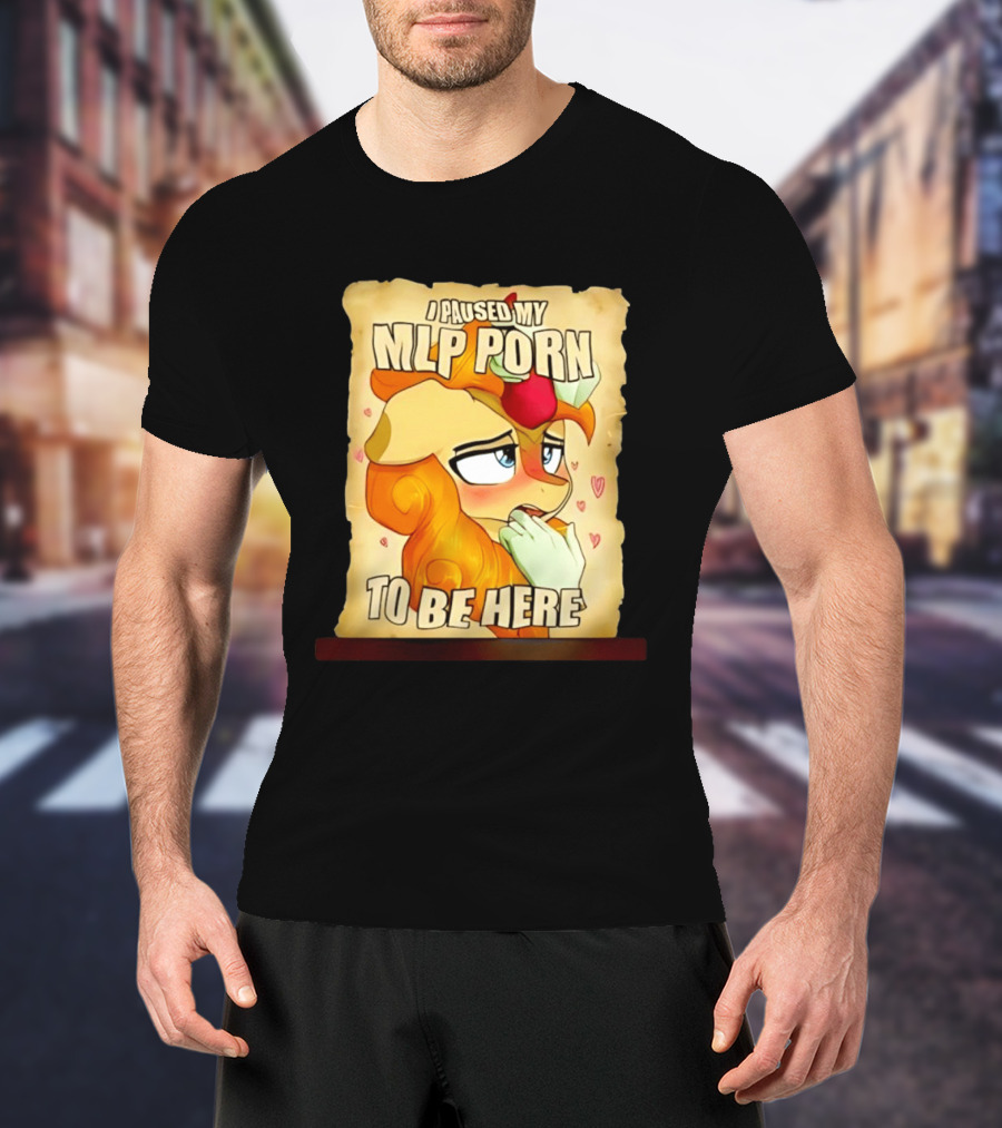 I Paused My MLP Porn To Be Here My Little Pony T-Shirt