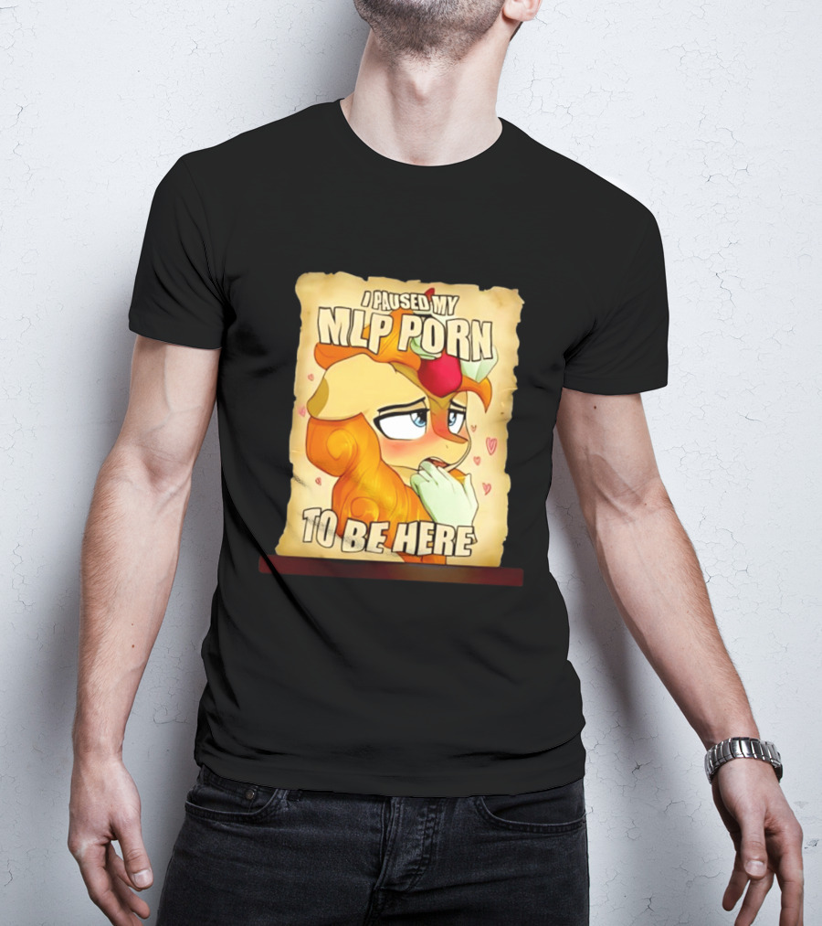 I Paused My MLP Porn To Be Here My Little Pony T-Shirt