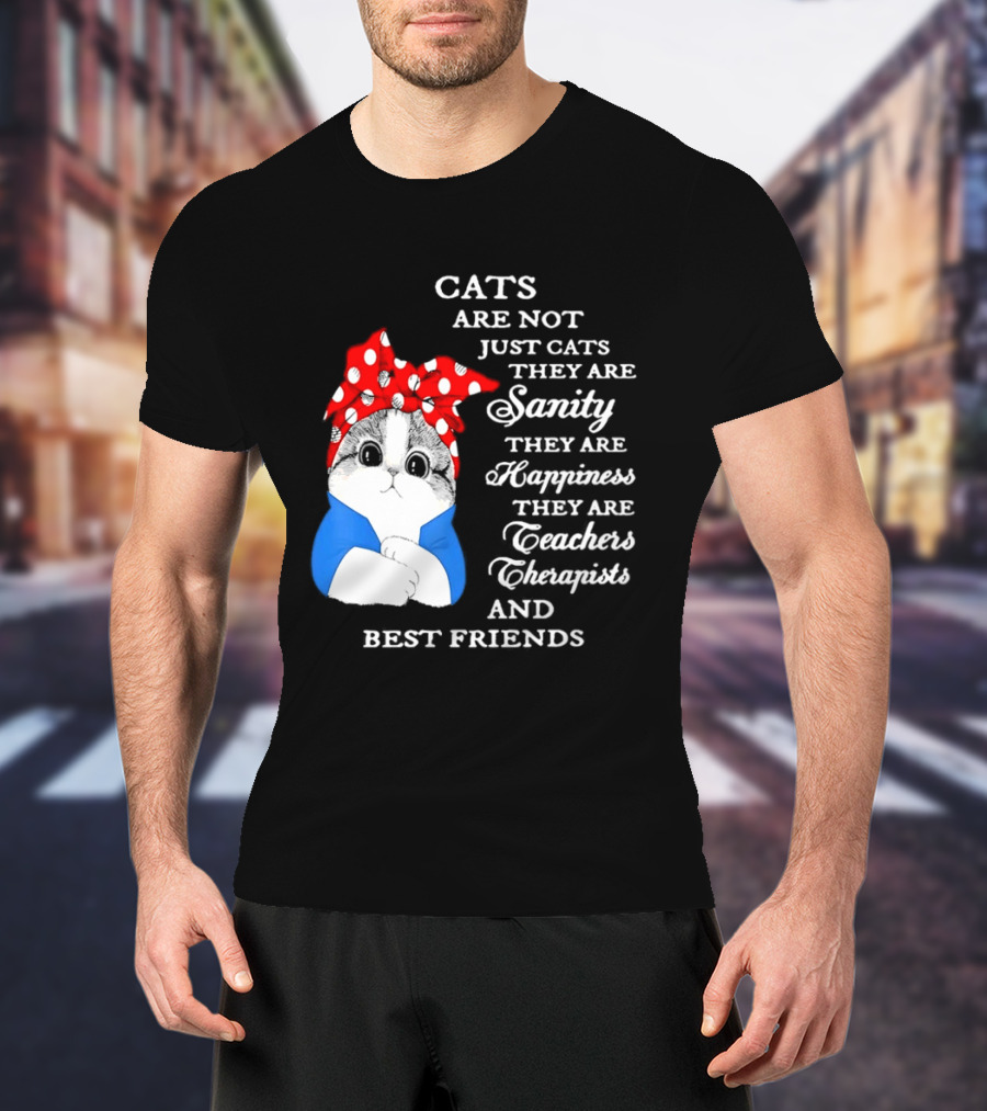 Cats Are Not Just Cats They Are Sanity Happiness Teachers Therapists Best Friends T-Shirt