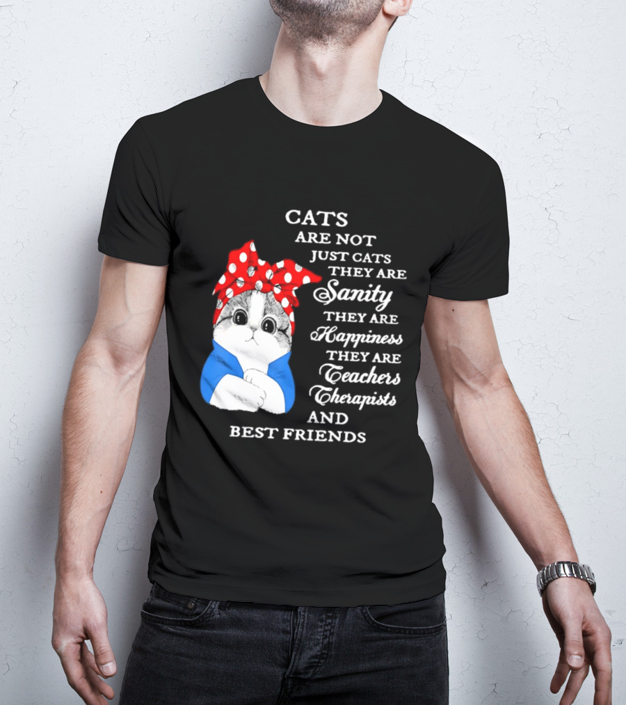 Cats Are Not Just Cats They Are Sanity Happiness Teachers Therapists Best Friends T-Shirt