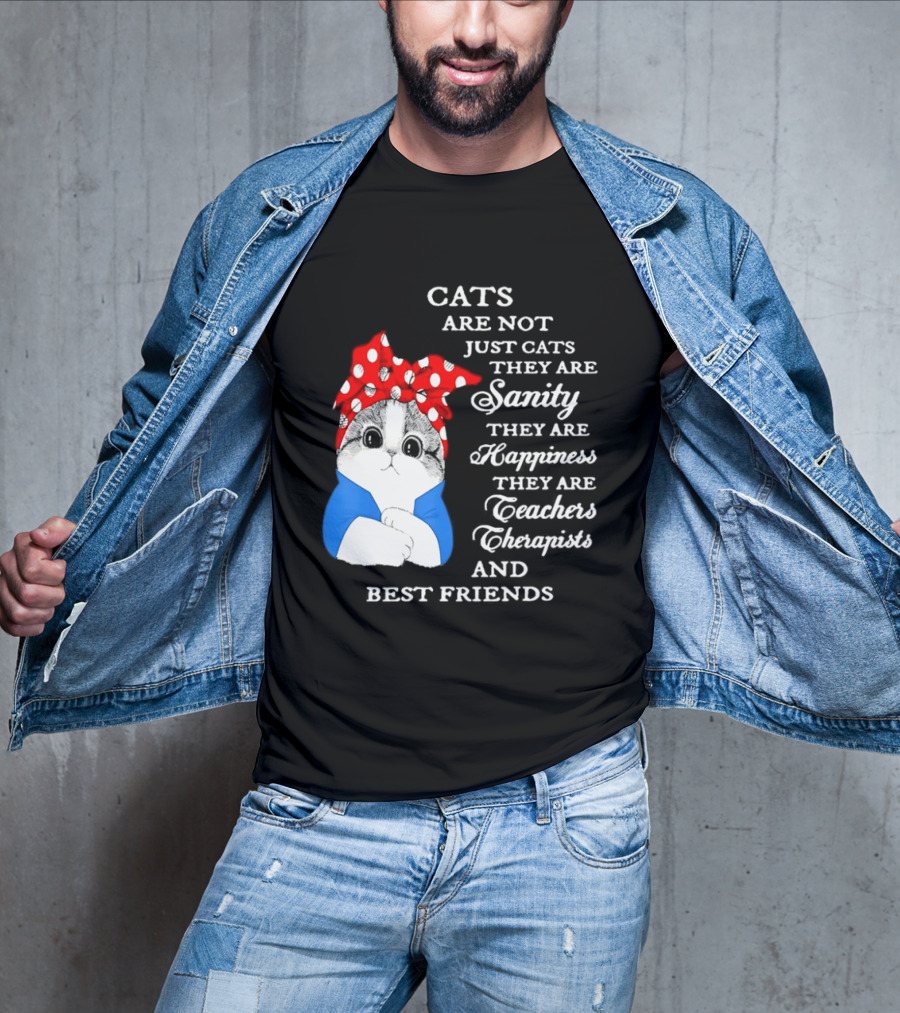 Cats Are Not Just Cats They Are Sanity Happiness Teachers Therapists Best Friends T-Shirt