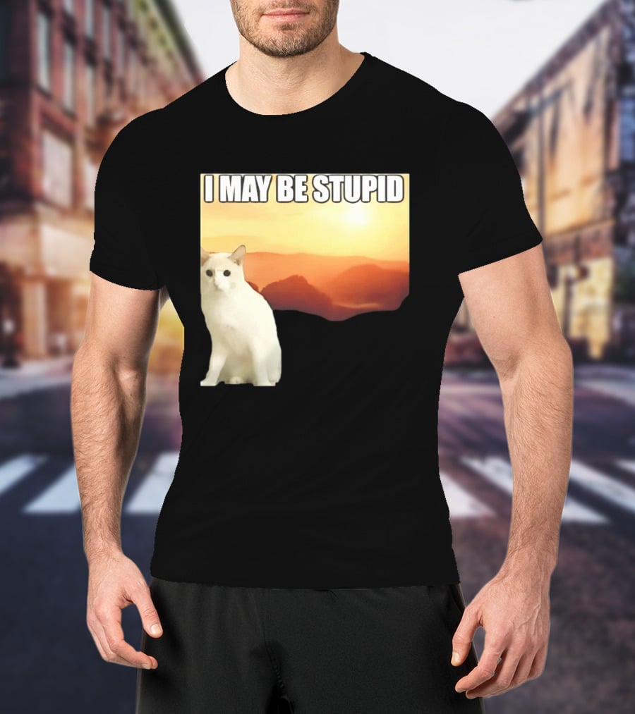 I May Be Stupid Cat With Sunrise T-Shirt