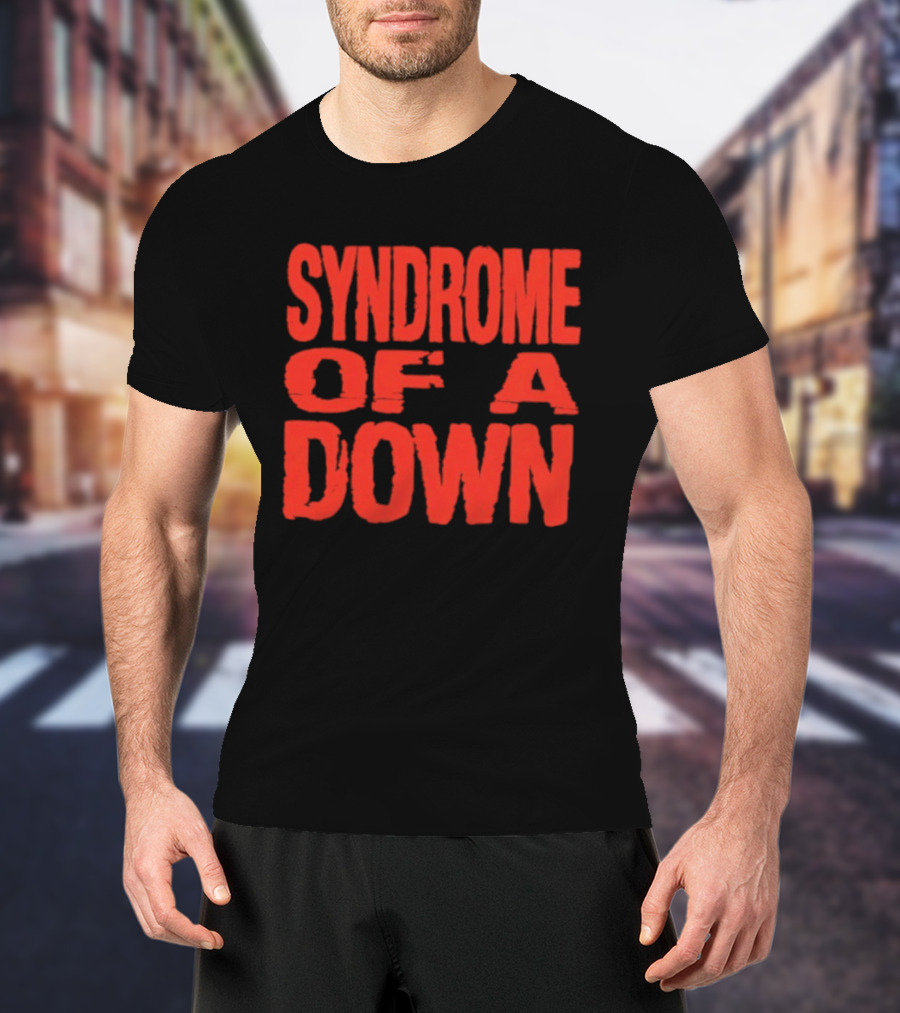 Syndrome Of A Down Metal Band Rock Music Fan Merchandise T-Shirt